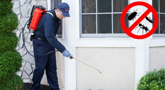Evka 6 Pire İlaçlama böcek ilaçlama ve haşere kontrolü — ilaclama-tr.com